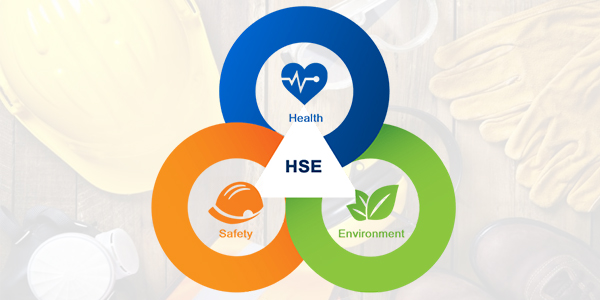 Health Safety Security And Environment At Workplace Pdf